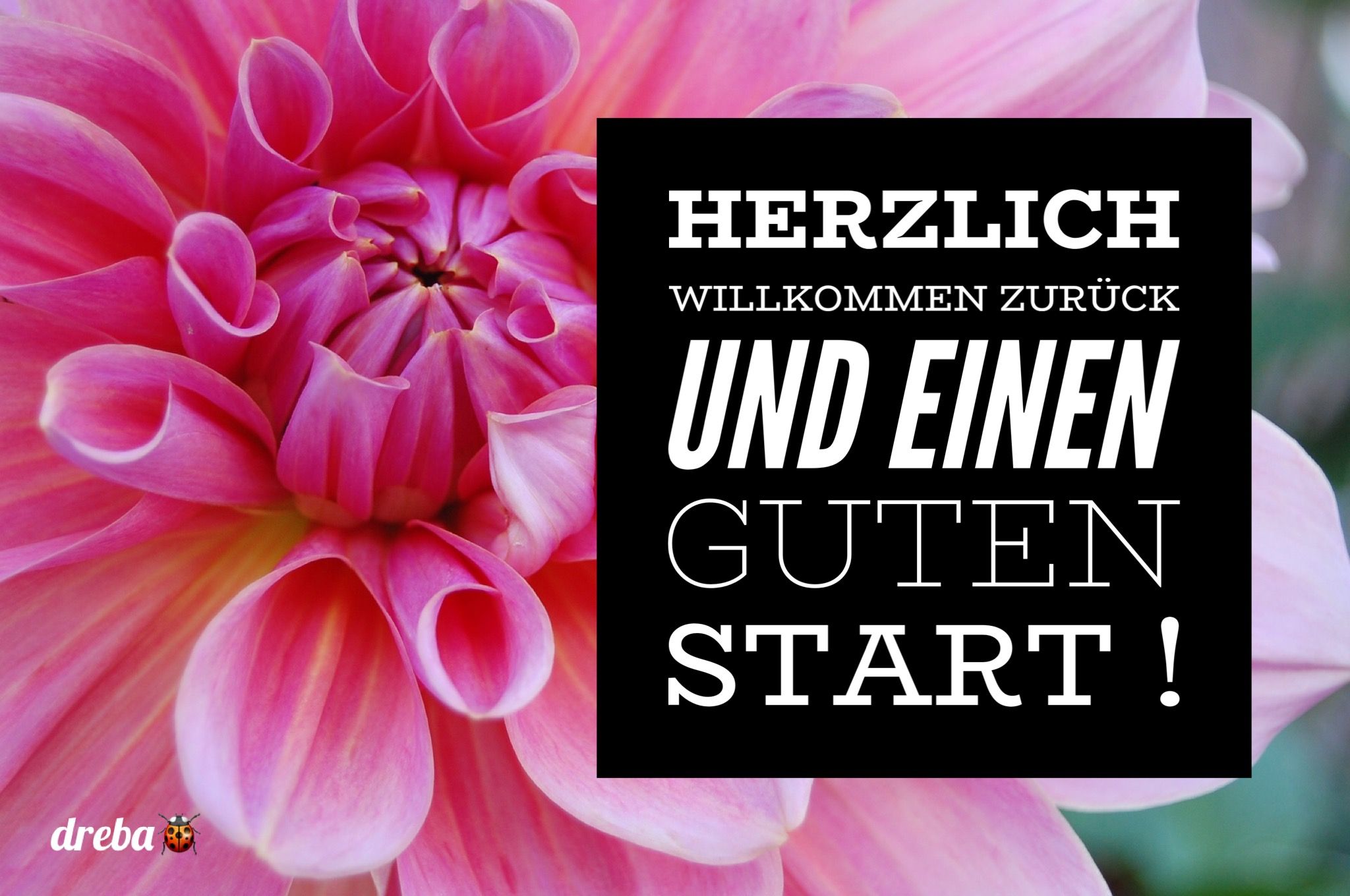 Besuche im PastorArningHaus wieder möglich PastorArningHaus